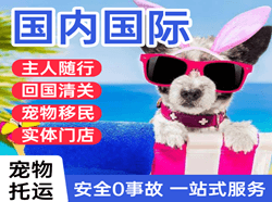 文山砚山机场空运国际宠物托运 【国